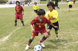 サーラカップ2008・東三河予選