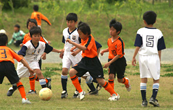 サーラカップ2006・東三河大会