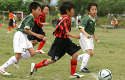 サーラカップ2006・東三河大会