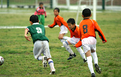 サーラカップ2006・東三河大会