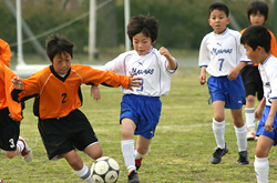 サーラカップ2007・東三河大会