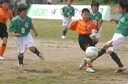 サーラカップ2007・東三河大会