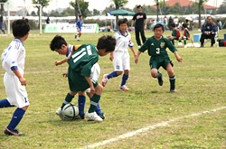 サーラカップ2007・東三河大会