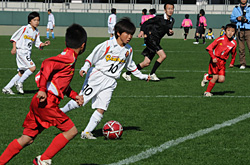 サーラカップ2009・決勝大会