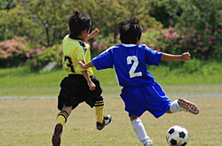 サーラカップ2010・東三河予選